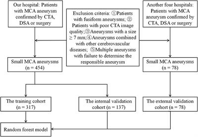 Predicting the rupture status of small middle cerebral artery aneurysms using random forest modeling